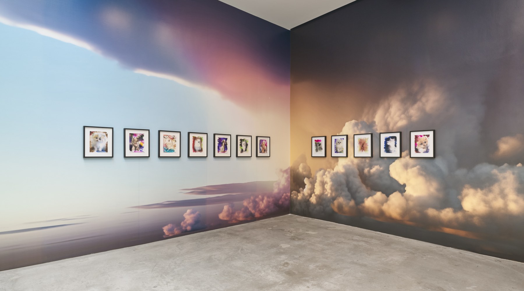 Installation View. Photo: Olympia Shannon.