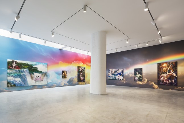 Installation View. Photo: Olympia Shannon.