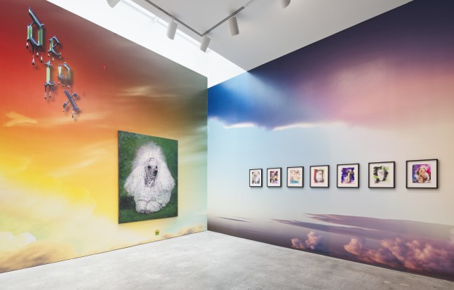 Installation View. Photo: Olympia Shannon.